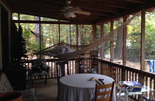 Dadeville Cabin | Relax at Sandy Beach: Guest Rated 9.8 & Ocean Views
