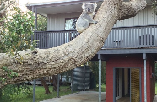 Sandy Point House | Exceptional Stay at Sandy Point Tree House with Breakfast