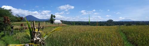 Penebel Other | Experience Sang Giri: Mountain Glamping with Hot Tub Access