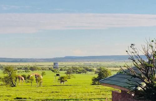 Bloemfontein Cabin | Family-Friendly Sangiro Game Lodge with Kitchen Facilities