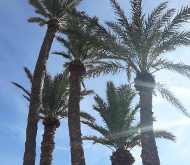 Els Arenals del Sol Apartment | Experience SANGRIA: 5-Star Hotel with Oceanfront Views