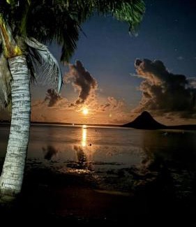 Antsiranana Hotel | Oceanfront Getaway at Sanjeela-Plage Coco with Great Amenities