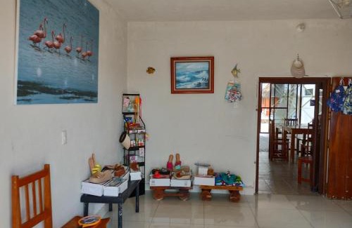 Dzidzantun Hotel | Santa Clara Hotel and Tours