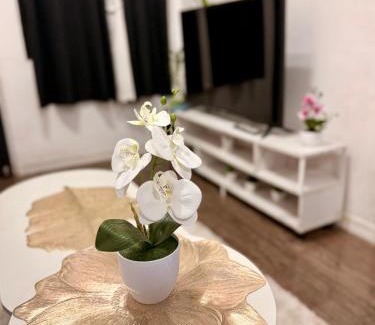 Santa Rosa Apartment | Santa Cosy Villa B Fast Wi-Fi, Netflix Included Split system Air-con & Hot Shower