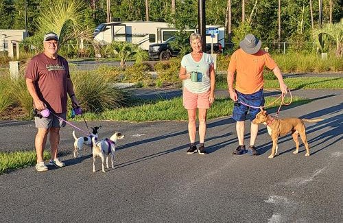 Gainesville Other | Relax at Santa Fe Palms RV Resort with Family-Friendly Amenities