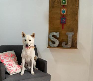 Cholula Bed & Breakfast | Pet-Friendly Santa Josefita B&B with High Guest Ratings