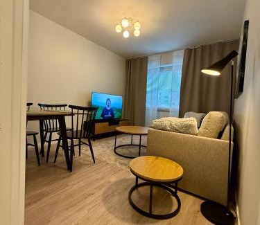 Rovaniemi Apartment | Santas Arctic Aurora
