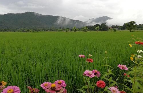 Cho Lae House | Discover Santitham Home Farm Stay: Child-Friendly Escape