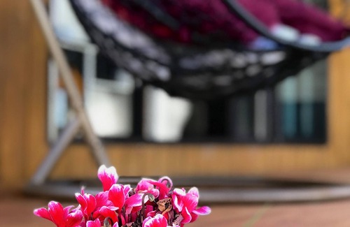 Penrose Apartment | Welcoming Santos Tiny House: A Cozy Retreat in Auckland
