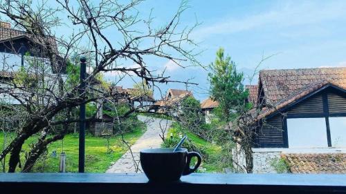 Sa Pa Villa | Explore Sapa Jade Hill: Family and Pet-Friendly Retreat