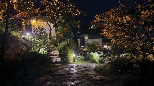 Sa Pa Villa | Explore Sapa Jade Hill: Family and Pet-Friendly Retreat
