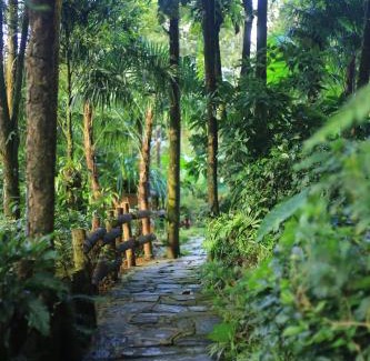 Sa Pa House | Enjoy Nature at Sapa Jungle Homestay with Oceanfront Views