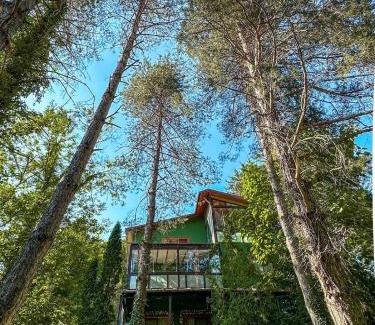 Sapanca Villa | Peaceful Villa Retreat in Sapanca's Serene Forest
