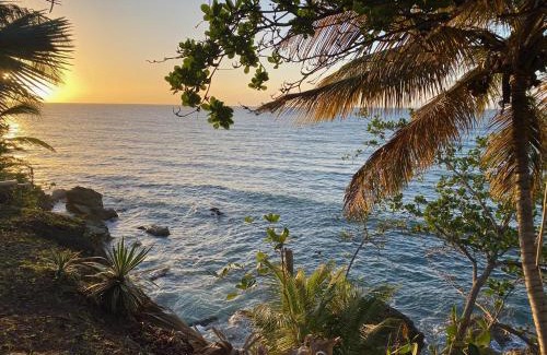 Buccoo Villa | Sapodilla Villa - Cliffside Luxury Villa with Ocean Views & 50ft Pool