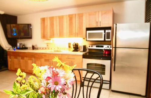 Red Hook Apartment | Oceanfront Sapphire del Mar B-106: Guest Rated 10/10