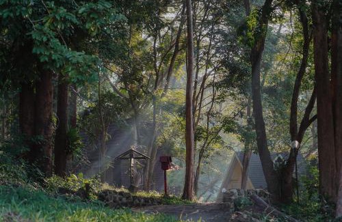 Kaeng Sopha Resort | Discover Sappraiwan Elephant Resort & Sanctuary Experience