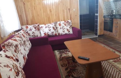 Uzungol Apartment | Pet-Friendly Sarahome Apart with Pool & Hot Tub Access