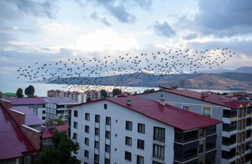 Tatvan Apartment | Sarayım Rezidans