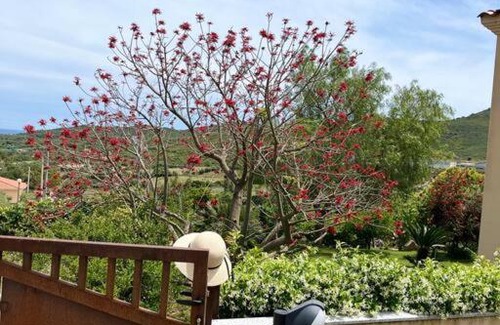 Maiorca Apartment | Perfect Sardinia Retreat for Families and Friends