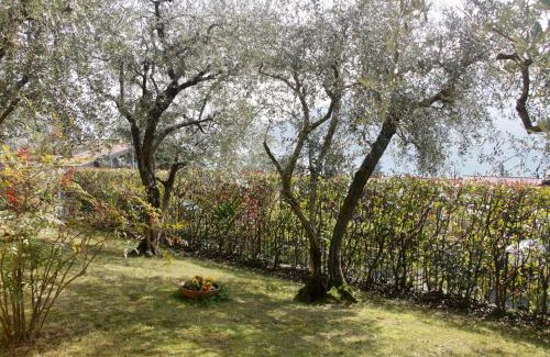 Sarnico House | Beautiful Sarnico Giardino sul Lago: Top-Rated Family Retreat