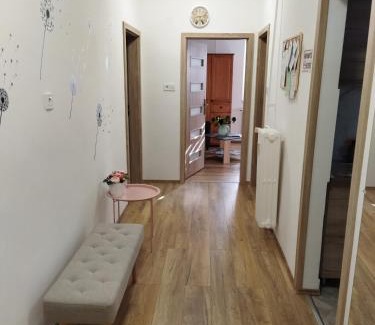 Satoraljaujhely Apartment | Sarokház Apartman