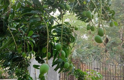 Bolpur House | Discover Sarthak Home Stay: Ideal for Families & Budget Travelers