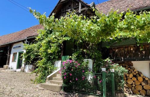Saschiz House | Explore Saschiz 130: Pet-Friendly Lodging & Glamping Retreat