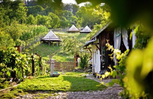Saschiz House | Explore Saschiz 130: Pet-Friendly Lodging & Glamping Retreat