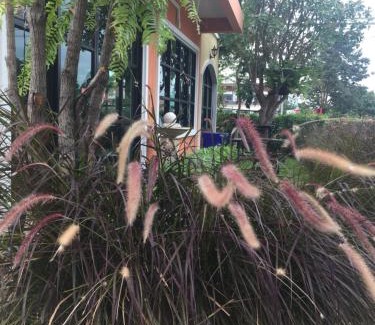 Nakhon Ratchasima Resort | Budget-Friendly Stay at Sata House Boutique Resort