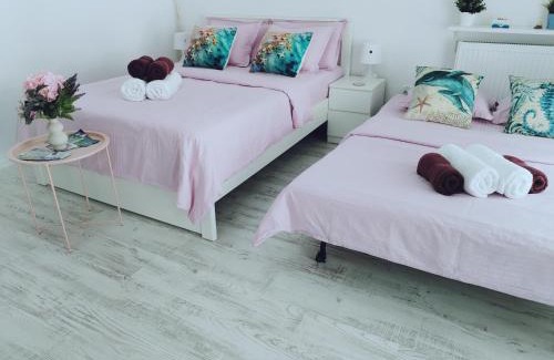Saturn Apartment | Oceanfront Saturn Rooms with Pet-Friendly Amenities