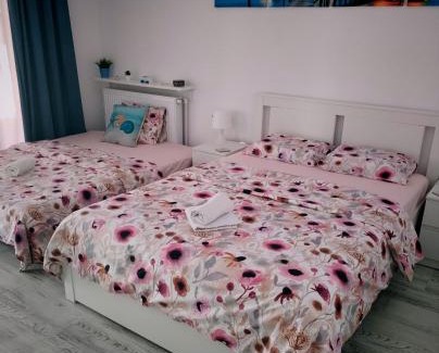 Saturn Apartment | Oceanfront Saturn Rooms with Pet-Friendly Amenities
