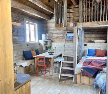 Skjaak House | Discover Sauefjøset: Historic Charm and Family-Friendly Stays
