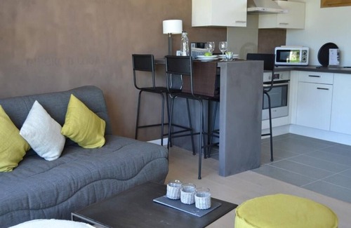 Baden Apartment | Cozy Sauge Studio 2/4P with Terrace & Pet-Friendly Amenities