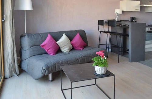 Baden Apartment | Cozy Sauge Studio 2/4P with Terrace & Pet-Friendly Amenities