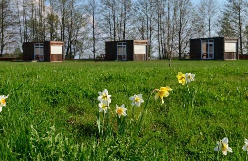 Mikeltornis Other | Pet-Friendly SaulesKempings: Rated 8.7/10 for Families
