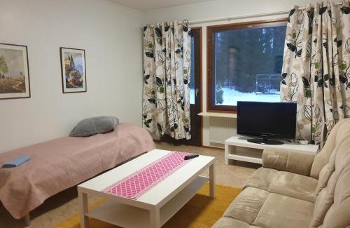 Pielavesi Apartment | Cozy Rivitalohuoneisto A1 with Hot Tub and Pet-Friendly Options