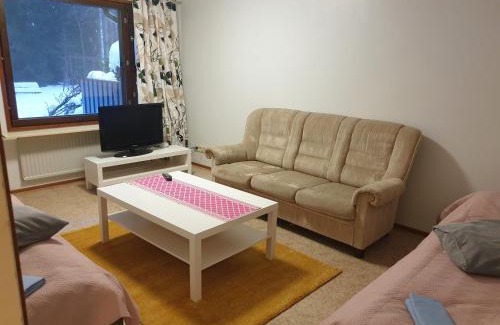 Pielavesi Apartment | Cozy Rivitalohuoneisto A1 with Hot Tub and Pet-Friendly Options