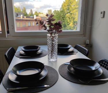 Hameenlinna Apartment | Spacious Two-Room Apartment Near City Center - Pet Friendly