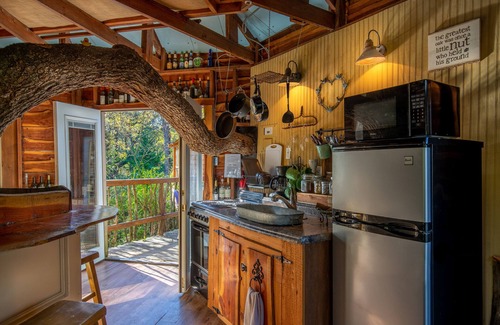 Celeste Bed & Breakfast | Experience Savannah's Meadow: Pool, Spa & Family-Friendly Fun
