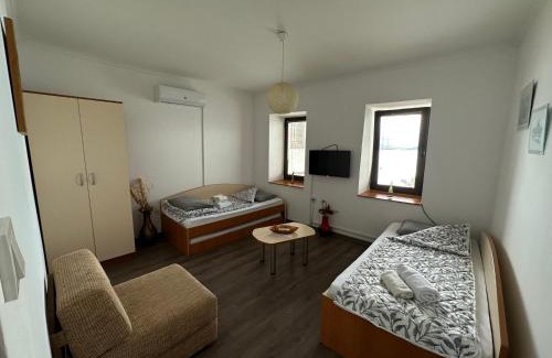 Varosh Apartment | Discover Savin Apartment: Oceanfront Pet-Friendly Retreat