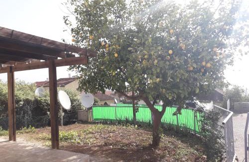 Qiryat Shemona House | Pet-Friendly Savyon Apartment with Hot Tub in Galilee