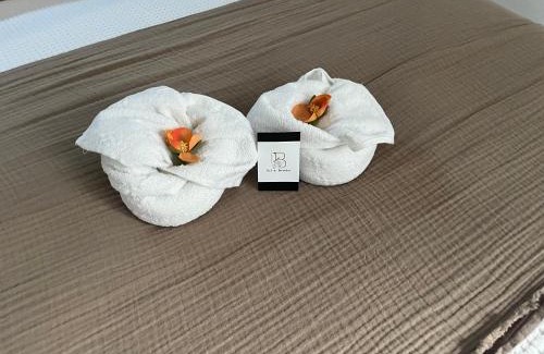 Charleville-Mezieres Apartment | Explore Le Scandinave: A 4-Star Gem with Great Reviews