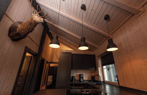 Kuestelberg House | Indulge in a Scandinavian Lodge with Hot Tub near Winterberg