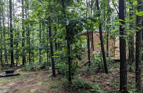 Coalmont House | Nature Retreat: Scandinavian Cabin at Getaway on Ranger Creek