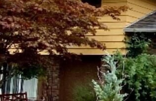 Port Alberni House | Pet-Friendly Scenic Country Home in Port Alberni