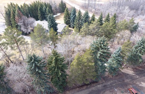 Beaumont Villa | Perfect Retreat for Family Gatherings - Pet Friendly Amenities