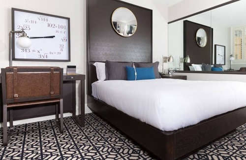 South Beach Hotel | Create Lasting Memories in a Pet-Friendly Paradise!