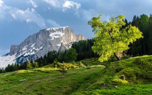 Schlanitzen Apartment | Discover Oceanfront Comfort at Schönauerhof, Rated 9.7/10