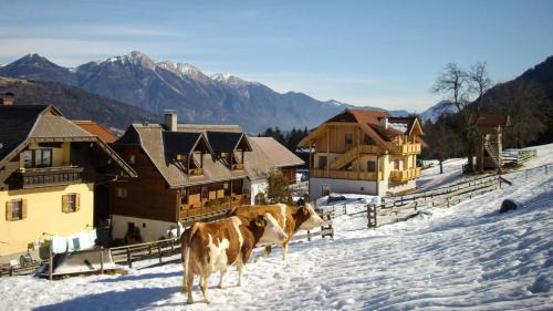 Schlanitzen Apartment | Discover Oceanfront Comfort at Schönauerhof, Rated 9.7/10