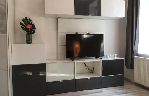 Penzing Apartment | Charming Schönbrunn Apartment: Pet & Child Friendly Stay
